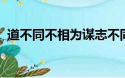 道不同不相为谋志不同不相为友类似的句子