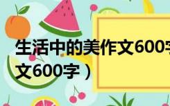 生活中的美作文600字六年级（生活中的美作文600字）