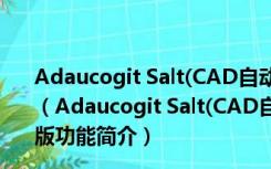 Adaucogit Salt(CAD自动标注坐标尺寸插件) V2.1 免费版（Adaucogit Salt(CAD自动标注坐标尺寸插件) V2.1 免费版功能简介）