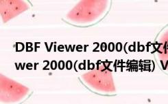 DBF Viewer 2000(dbf文件编辑) V6.0 免费版（DBF Viewer 2000(dbf文件编辑) V6.0 免费版功能简介）