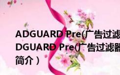 ADGUARD Pre(广告过滤器) V7.2.2931.0 官方最新版（ADGUARD Pre(广告过滤器) V7.2.2931.0 官方最新版功能简介）