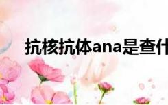 抗核抗体ana是查什么（抗核抗体ana）