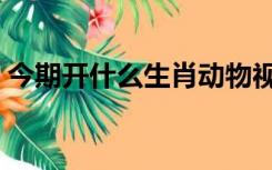 今期开什么生肖动物视频（今期开什么生肖）