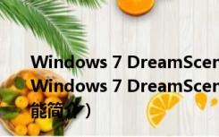 Windows 7 DreamScene Activator V1.1 免费汉化版（Windows 7 DreamScene Activator V1.1 免费汉化版功能简介）