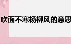 吹面不寒杨柳风的意思是什么《春》一文中的