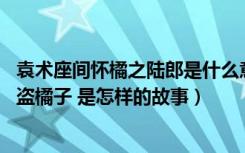 袁术座间怀橘之陆郎是什么意思（三国陆郎陆公纪 袁术席间盗橘子 是怎样的故事）