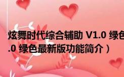 炫舞时代综合辅助 V1.0 绿色最新版（炫舞时代综合辅助 V1.0 绿色最新版功能简介）