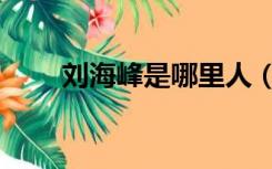 刘海峰是哪里人（刘海峰个人资料）