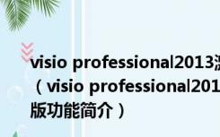 visio professional2013激活密钥注册机 V2.1 绿色免费版（visio professional2013激活密钥注册机 V2.1 绿色免费版功能简介）