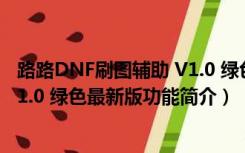 路路DNF刷图辅助 V1.0 绿色最新版（路路DNF刷图辅助 V1.0 绿色最新版功能简介）