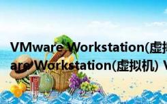 VMware Workstation(虚拟机) V16.0 汉化破解版（VMware Workstation(虚拟机) V16.0 汉化破解版功能简介）