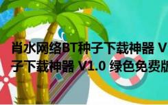 肖水网络BT种子下载神器 V1.0 绿色免费版（肖水网络BT种子下载神器 V1.0 绿色免费版功能简介）