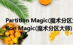 Partition Magic(魔术分区大师) V10.0 中文绿色版（Partition Magic(魔术分区大师) V10.0 中文绿色版功能简介）