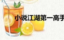 小说江湖第一高手（江湖第一高手）