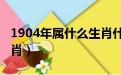 1904年属什么生肖什么命（1904年属什么生肖）