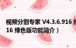 视频分割专家 V4.3.6.916 绿色版（视频分割专家 V4.3.6.916 绿色版功能简介）