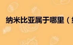 纳米比亚属于哪里（纳米比亚属于哪个洲）