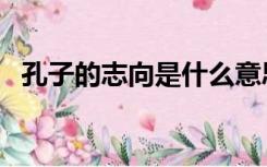 孔子的志向是什么意思（志向是什么意思）