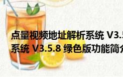 点量视频地址解析系统 V3.5.8 绿色版（点量视频地址解析系统 V3.5.8 绿色版功能简介）