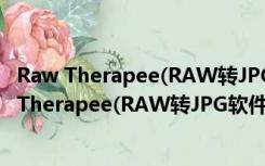 Raw Therapee(RAW转JPG软件) V5.4 官方中文版（Raw Therapee(RAW转JPG软件) V5.4 官方中文版功能简介）