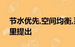 节水优先,空间均衡,系统治理,两手发力 在哪里提出