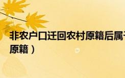 非农户口迁回农村原籍后属于什么户口（非农户口迁回农村原籍）