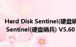 Hard Disk Sentinel(硬盘哨兵) V5.60 绿色版（Hard Disk Sentinel(硬盘哨兵) V5.60 绿色版功能简介）