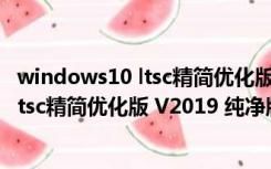 windows10 ltsc精简优化版 V2019 纯净版（windows10 ltsc精简优化版 V2019 纯净版功能简介）