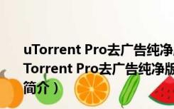 uTorrent Pro去广告纯净版 V3.5.5.45972 中文绿色版（uTorrent Pro去广告纯净版 V3.5.5.45972 中文绿色版功能简介）