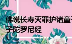 佛说长寿灭罪护诸童子陀罗尼经和佛说护诸童子陀罗尼经