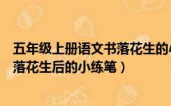 五年级上册语文书落花生的小练笔（人教版五年级语文上册落花生后的小练笔）