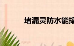 堵漏灵防水能撑几年（堵漏灵）