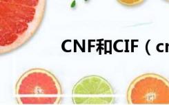 CNF和CIF（cnf和cif的区别）