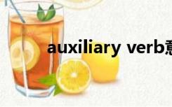 auxiliary verb意思（auxiliary）