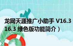 龙网天涯推广小助手 V16.3 绿色版（龙网天涯推广小助手 V16.3 绿色版功能简介）