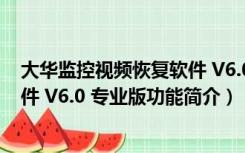 大华监控视频恢复软件 V6.0 专业版（大华监控视频恢复软件 V6.0 专业版功能简介）