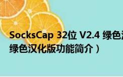 SocksCap 32位 V2.4 绿色汉化版（SocksCap 32位 V2.4 绿色汉化版功能简介）