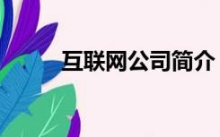 互联网公司简介（网络公司简介）