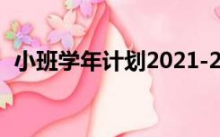 小班学年计划2021-2022（小班学年计划）