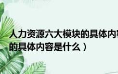 人力资源六大模块的具体内容是什么呢（人力资源六大模块的具体内容是什么）