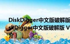 DiskDigger中文版破解版 V1.43.67.3083 绿色免费版（DiskDigger中文版破解版 V1.43.67.3083 绿色免费版功能简介）