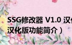 SSG修改器 V1.0 汉化版（SSG修改器 V1.0 汉化版功能简介）