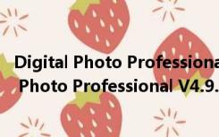 Digital Photo Professional V4.9.20 官方中文版（Digital Photo Professional V4.9.20 官方中文版功能简介）