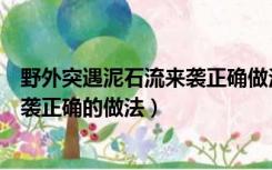 野外突遇泥石流来袭正确做法是（在野外如果突遇泥石流来袭正确的做法）