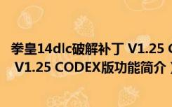 拳皇14dlc破解补丁 V1.25 CODEX版（拳皇14dlc破解补丁 V1.25 CODEX版功能简介）