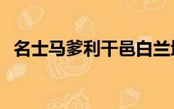 名士马爹利干邑白兰地（名士马爹利干邑）