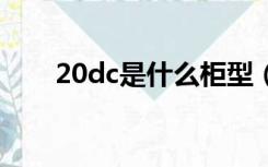 20dc是什么柜型（20ft是什么柜型）