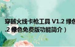 穿越火线卡枪工具 V1.2 绿色免费版（穿越火线卡枪工具 V1.2 绿色免费版功能简介）