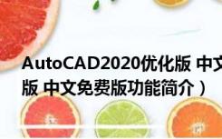 AutoCAD2020优化版 中文免费版（AutoCAD2020优化版 中文免费版功能简介）