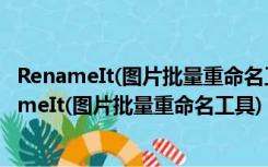 RenameIt(图片批量重命名工具) V1.39 绿色免费版（RenameIt(图片批量重命名工具) V1.39 绿色免费版功能简介）